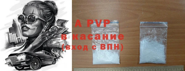 стаф Богданович