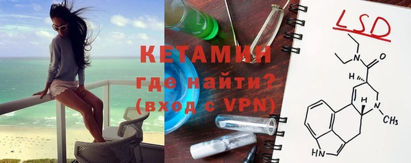 стаф Богданович