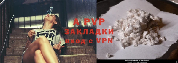 стаф Богданович