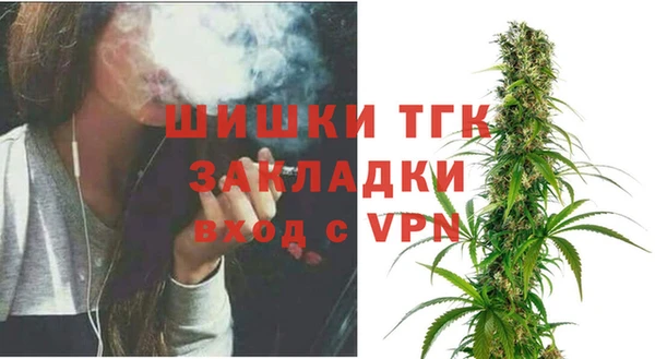 стаф Богданович