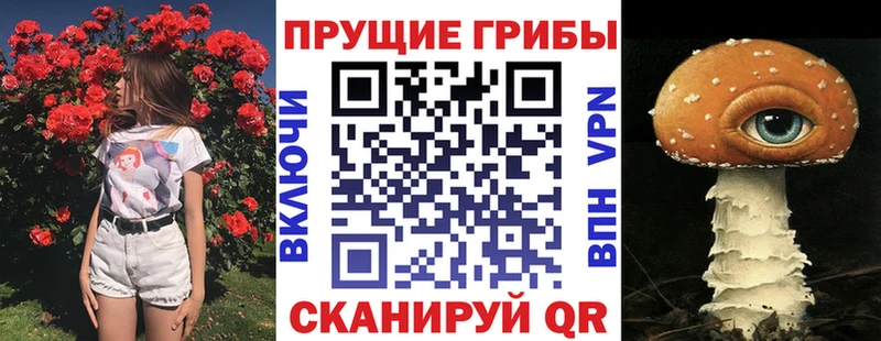 купить закладку  кракен ССЫЛКА  Псилоцибиновые грибы Magic Shrooms  Сертолово 